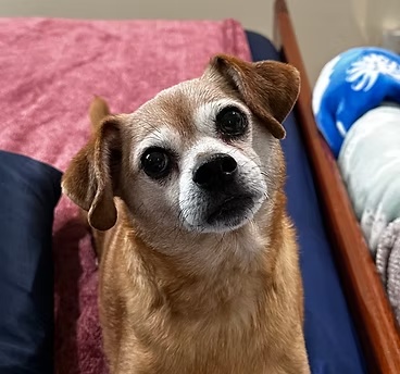 Charlie