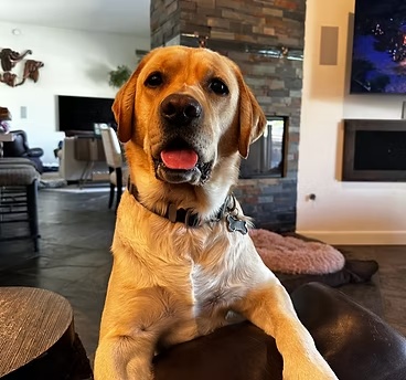 Toby Jack